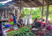 Pasar Aman, Lalu Lintas Lancar: Peran Aktif Bhabinkamtibmas di Randomayang