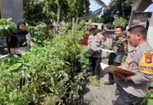 Semarak HUT RI ke-80, Polsek Pasangkayu Dukung Lomba Hias Kampung dan Pemanfaatan Pekarangan di Desa Pajalele