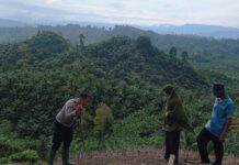 Bhabinkamtibmas Polsek Pasangkayu Mendaki Bukit, Tanam Jagung Bersama Warga Binaan