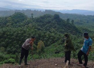 Bhabinkamtibmas Polsek Pasangkayu Mendaki Bukit, Tanam Jagung Bersama Warga Binaan