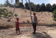 Kegiatan Peninjauan Rencana Penanaman Jagung Binaan Polri Di Desa Ako