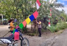 Pemasangan Bendera Merah Putih Dan Himbauan Dalam Rangka Menyambut Hut Ri Ke-80 Di Desa Towoni