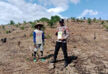 Dukung Ketahanan Pangan, Polsek Baras Tanam Jagung Bersama Warga Buluparigi