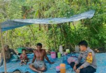 Dukung Ketahanan Pangan, Bhabinkamtibmas Polsek Baras Dampingi Warga Tanam Jagung dan Ajak Jual ke Bulog