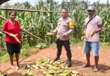 Sambang Program Ketahanan Pangan Di Desa Lilimori 