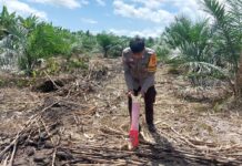 Bhabinkamtibmas Tanam Jagung Bersama Warga, Wujud Nyata Dukung Ketahanan Pangan Nasional