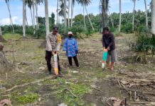 Bhabinkamtibmas Polsek Baras Gencarkan Program Ketahanan Pangan Lewat Penanaman Jagung Bersama Warga