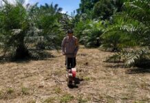 Bhabinkamtibmas Sarudu Tanam Jagung Bersama Warga, Dorong Ketahanan Pangan di Desa Bulubonggu