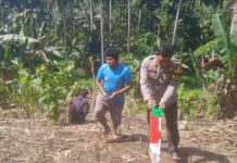 Dukung Ketahanan Pangan, Bhabinkamtibmas Bambalamotu Tanam Jagung Bersama Warga