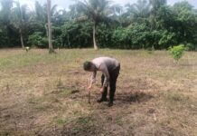 Polsek Bambalamotu Kawal Program Ketahanan Pangan Tanam Jagung di Desa Randomayang