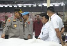 Kapolda Sulbar Tinjau Gudang Bulog di Pasangkayu, Pastikan Stok Aman dan Distribusi Berjalan Lancar