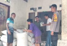 Program Ketahanan Pangan: Polsek Bambalamotu Dukung Petani Jagung Di Dusun Watubete