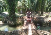 Gotong Royong Warga Dan Polsek Sarudu Bangun Akses Jalan Ke Kebun Sawit