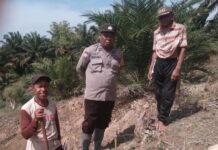 Bhabinkamtibmas Polsek Sarudu Monitoring Pendataan Warga Penanam Jagung di Desa Sarudu