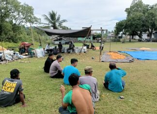 Bhabinkamtibmas Polsek Bambalamotu Panen Jagung Bersama Warga di Desa Randomayang