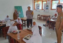 PENGAWASAN PENYALURAN MAKANAN BERGIZI (MBG) DI SDN SALULE DESA PANGIANG KECAMATAN BAMBALAMOTU, KABUPATEN PASANGKAYU