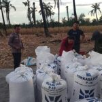 Bhabinkamtibmas Polsek Baras Lakukan Pemeriksaan Kadar Air Jagung Warga, Dorong Pemanfaatan Lahan untuk Ketahanan Pangan