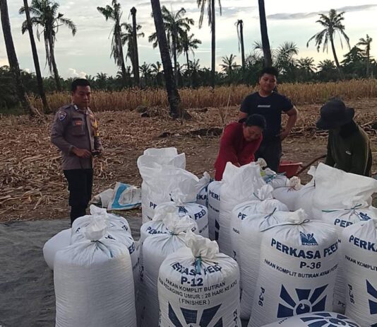 Bhabinkamtibmas Polsek Baras Lakukan Pemeriksaan Kadar Air Jagung Warga, Dorong Pemanfaatan Lahan untuk Ketahanan Pangan