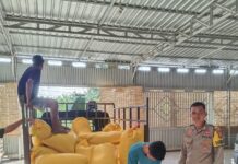 Bhabinkamtibmas Polsek Sarudu Dampingi Penyerapan Hasil Panen Jagung ke Bulog Pasangkayu