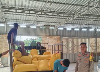 Bhabinkamtibmas Polsek Sarudu Dampingi Penyerapan Hasil Panen Jagung ke Bulog Pasangkayu