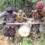 Kebersamaan Bhabinkamtibmas Polsek Pasangkayu dan Warga Dalam Gotong Royong Perbaikan Jembatan