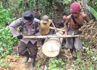 Kebersamaan Bhabinkamtibmas Polsek Pasangkayu dan Warga Dalam Gotong Royong Perbaikan Jembatan