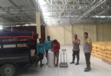 Kapolsek Sarudu Bersama Bhabinkamtibmas Kawal Penyaluran Hasil Panen Jagung Petani ke Bulog Cabang Pasangkayu