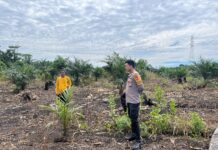 Cegah Konflik Meluas, Bhabinkamtibmas Pasangkayu Intensifkan Sambang dan Patroli Dialogis di Jengeng Raya