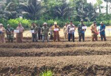 Dukung Ketahanan Pangan dan Tekan Inflasi, Bhabinkamtibmas Bambalamotu Hadiri Tanam Serentak Cabai dan Bawang Merah