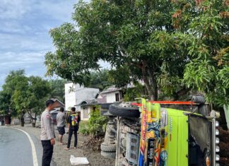 Gerak Cepat Polsek Sarudu Tangani Laka Lantas Tunggal Dump Truck di Jalan Menikung Desa Singgani