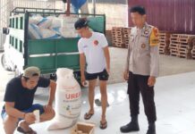 Bhabinkamtibmas Patika Kawal Pengiriman 2,4 Ton Jagung ke Bulog Sarudu, Pastikan Harga dan Proses Pembayaran Transparan