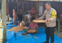 Bhabinkamtibmas Polsek Batas Dampingi Warga Jemur Jagung, Dorong Semangat Petani dan Ketahanan Pangan