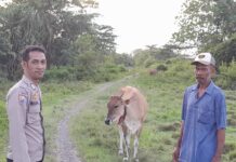 Bhabinkamtibmas Polsek Pasangkayu Sambangi Peternak, Cegah Konflik Akibat Ternak Masuk Kebun Warga