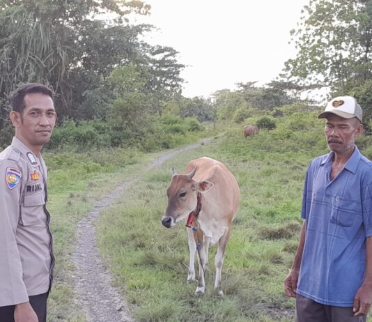Bhabinkamtibmas Polsek Pasangkayu Sambangi Peternak, Cegah Konflik Akibat Ternak Masuk Kebun Warga