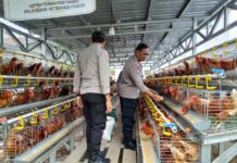 Polres Pasangkayu Dukung Pemanfaatan Pekarangan Bergizi untuk Ketahanan Ekonomi dan MBG