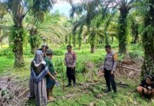 Kapolsek Bambalamotu Dampingi BPN Lakukan Penyesuaian Batas Lahan Perkebunan Warga yang Bersengketa