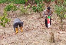 Tak Hanya Jaga Kamtibmas, Bhabinkamtibmas Bambalamotu Dorong Ekonomi Warga Lewat Jagung