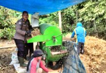 Sinergi Polri dan Petani, Bhabinkamtibmas Polsek Baras Dorong Ketahanan Pangan Lewat Panen Jagung