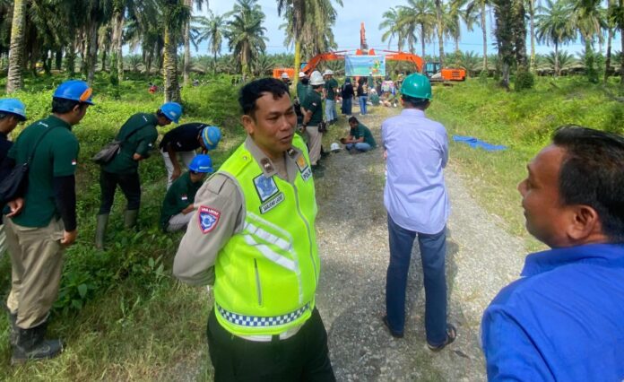 WhatsApp Image 2026-02-12 at 14.55.26