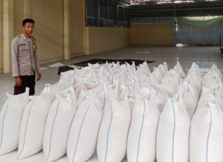 Polsek Sarudu Kawal Penjualan Jagung Warga ke Bulog, Pastikan Distribusi Aman dan Harga Terjamin