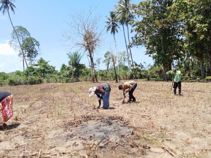 WhatsApp Image 2026-02-18 at 13.45.38