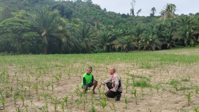 WhatsApp Image 2026-02-18 at 20.42.13