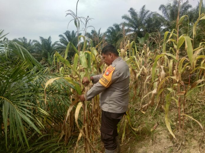 WhatsApp Image 2026-02-20 at 11.26.00