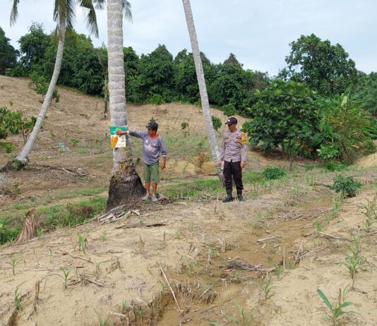 Bhabinkamtibmas Polsek Pasangkayu Kawal Ketahanan Pangan, Pantau Tanaman Jagung Warga di Saloaya
