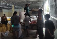 Bhabinkamtibmas Dampingi Petani Jual 1,6 Ton Jagung ke Bulog, Wujud Nyata Dukungan Ketahanan Pangan di Sarudu