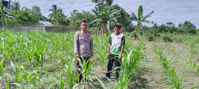 WhatsApp Image 2026-02-25 at 13.36.30