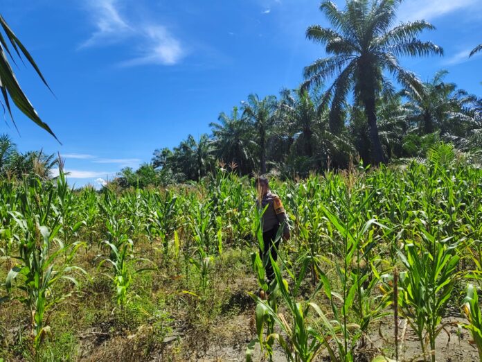 WhatsApp Image 2026-02-27 at 14.02.14