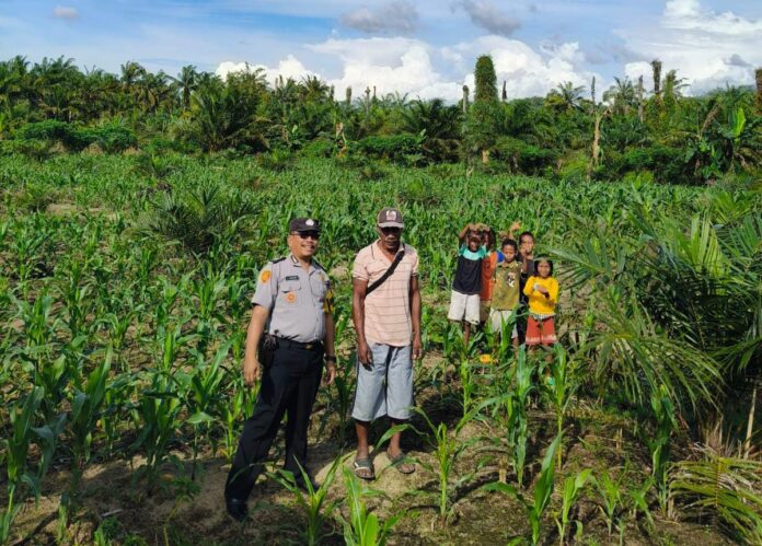 WhatsApp Image 2026-03-01 at 12.35.36