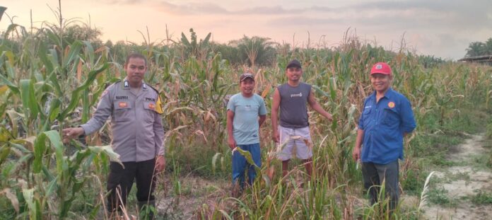 WhatsApp Image 2026-03-01 at 18.17.04