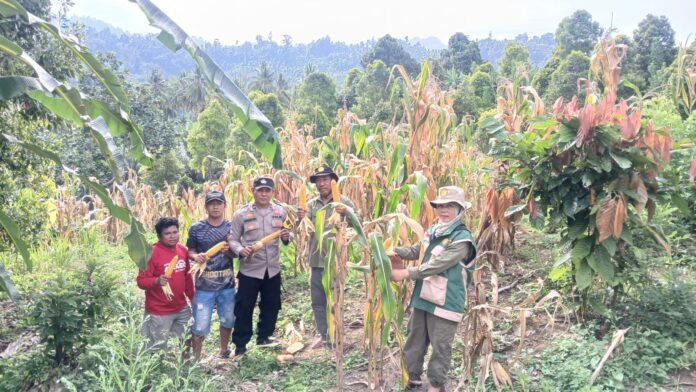 WhatsApp Image 2026-03-07 at 16.17.38